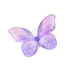 ícono mariposa