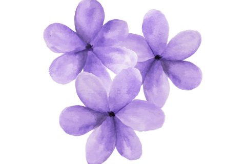 flores moradas feminismo