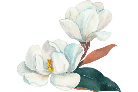 icono flor blanca 2