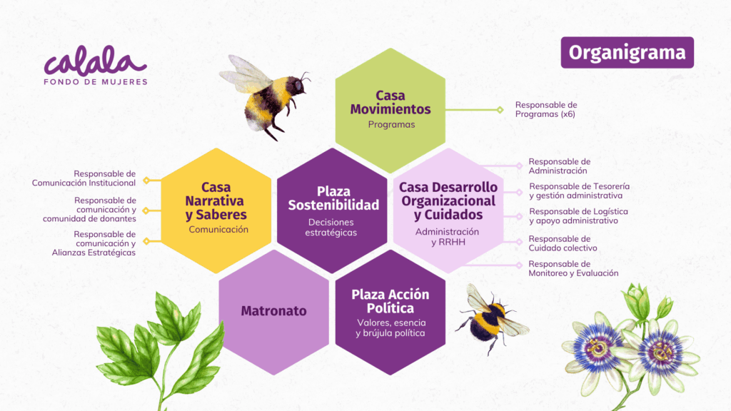 En Calala nos organizamos diferente: hacia una estructura feminista, antirracista y horizontal 1 Nuevo organigrama de Calala