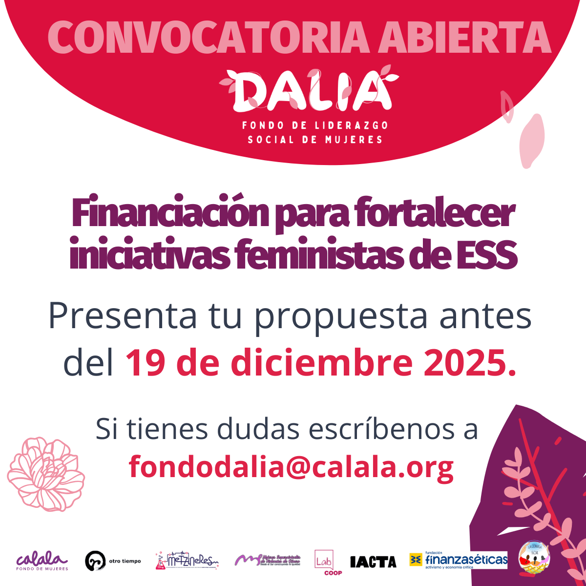 Announcement Call Dalia Fund 2025