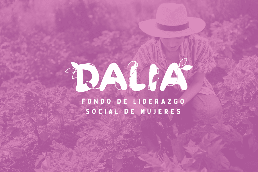 Fondo Dalia y cómo solicitar financiación - Calala Fondo de Mujeres