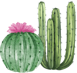 Cactus Memoria 2025 - Calala Women's Fund
