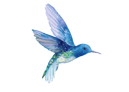 Animated hummingbird Memory 2025 Calala Women's Fund 1