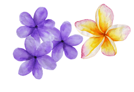 Flowers 1 cover 2025 Annual Report Calala