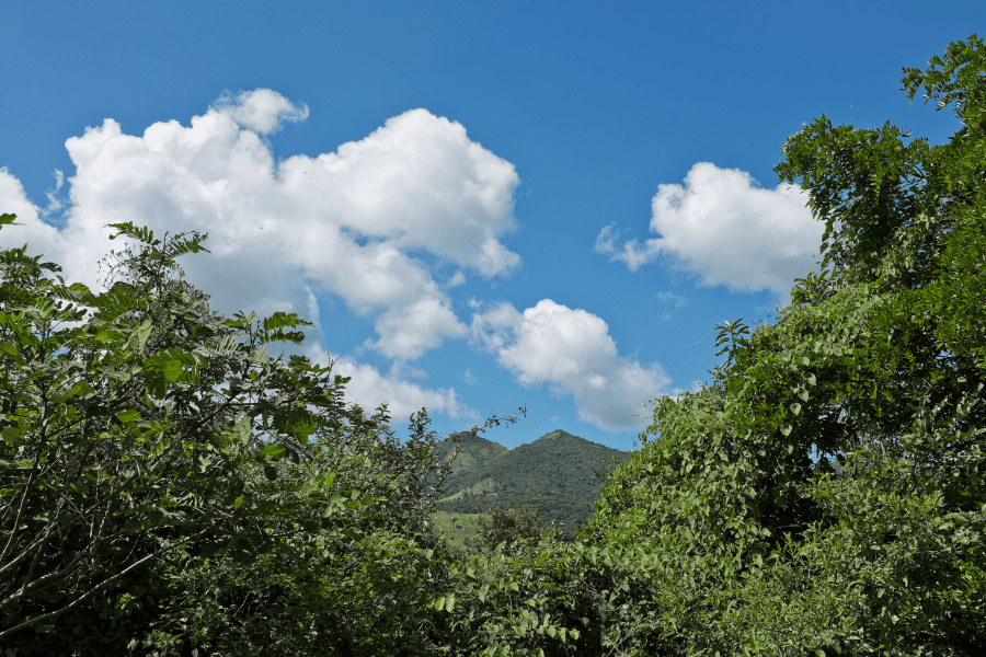 defensoras ambientales y territoriales - Calala Fondo de Mujeres